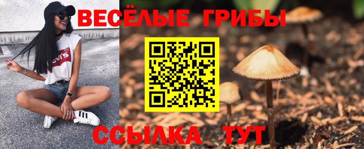 Галлюциногенные грибы прущие грибы Нижний Тагил