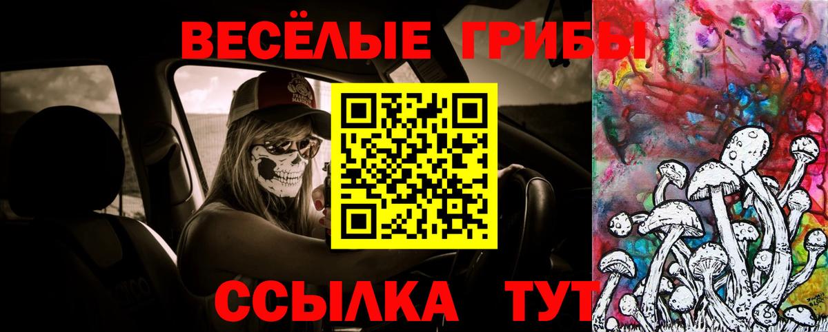 Псилоцибиновые грибы мицелий  где найти   Нижний Тагил  Вход с VPN 